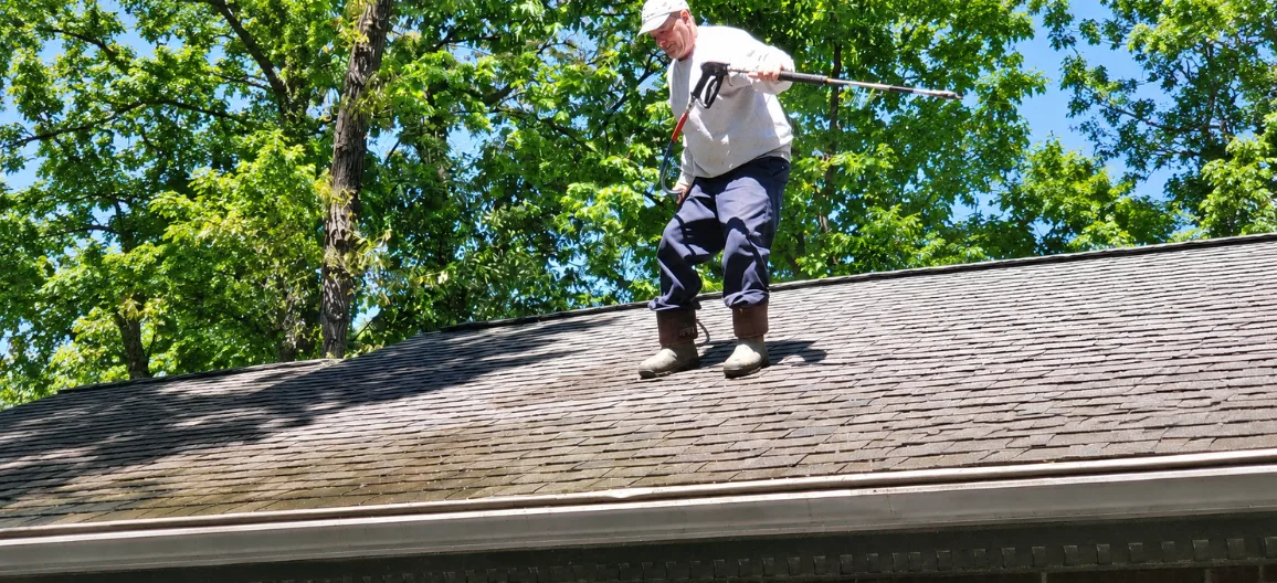 roof cleaning